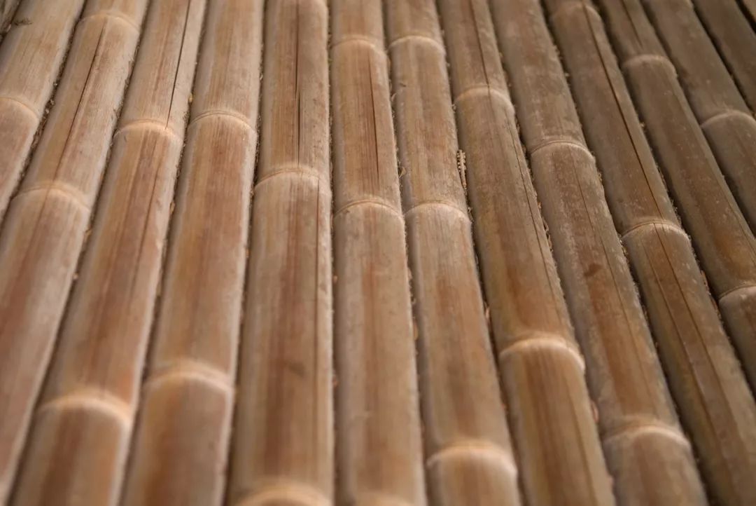 设计材料3竹材bamboo我是一种草不是树