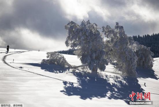 強降雪致德國南部交通受阻 數百航班受影響 國際 第1張