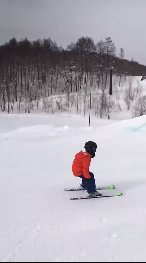 原創
            孫儷曬一家人滑雪，等等小花技術超讚，鄧超栽跟頭不忘擺pose 娛樂 第3張