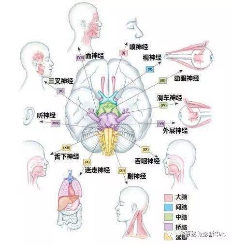 图文总结丨医学影像重要知识速记口诀