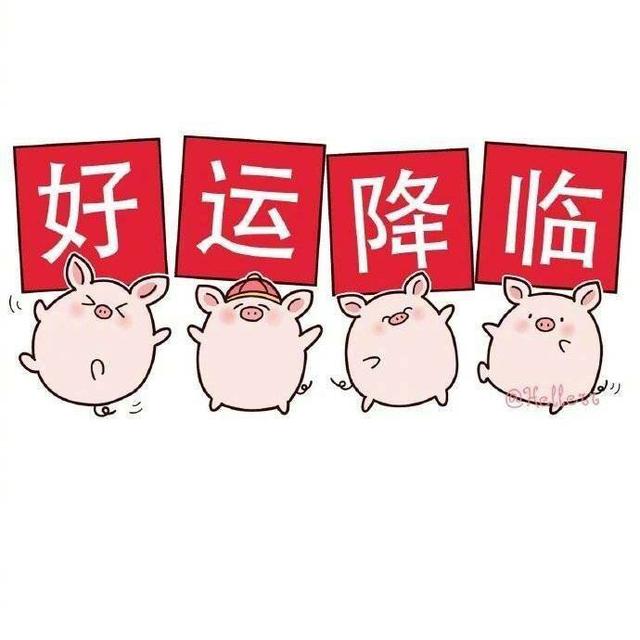 猪年春节祝福语表情包:猪年快乐,猪年吉祥