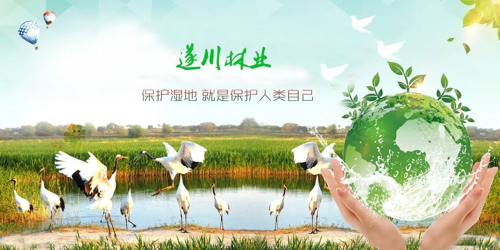 热爱湿地,保护湿地 欣赏湿地,共享湿地 携手共创美好家园!