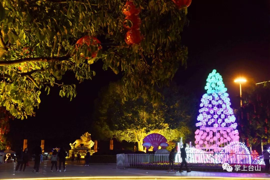 石花山公园花树石化山公园花树小道夜景走在石化山公园,你能发现花树