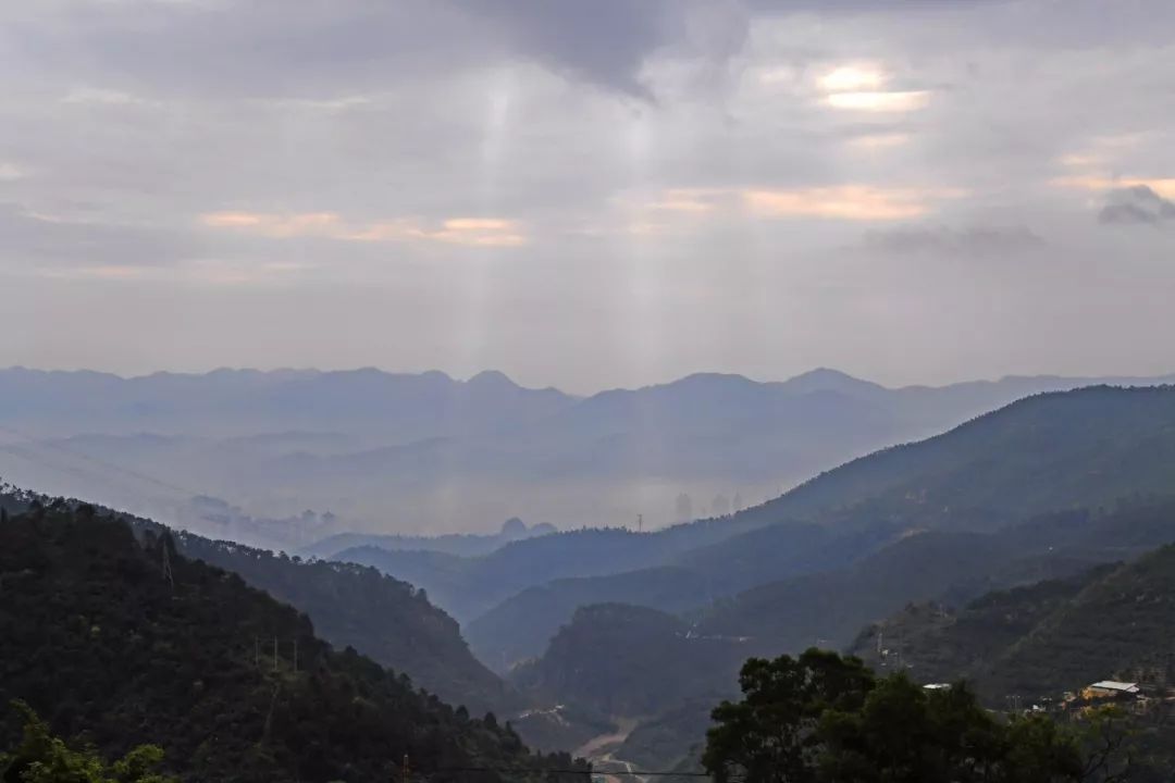 草原什么人的辽阔壮美&【请到云浮过大年】登辽阔壮美的大金山,体验不