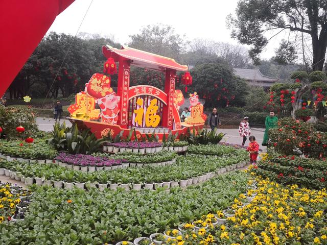 公园都经过精心布置,很有春节节日气氛.