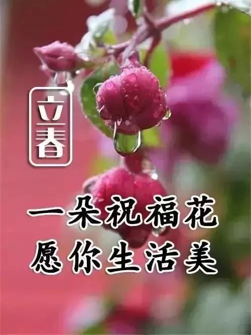 春暖花开时节的温暖问候，春暖花开时，温暖问候送给你