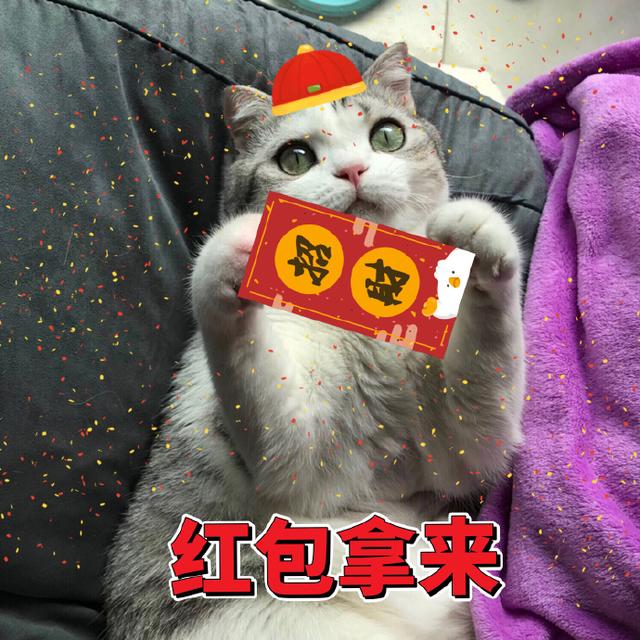 猫咪拜年表情包恭喜发财红包拿来