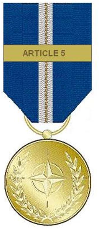 好評 国連特別従軍記章 UN Special Service Medal | obiadyuandrzeja