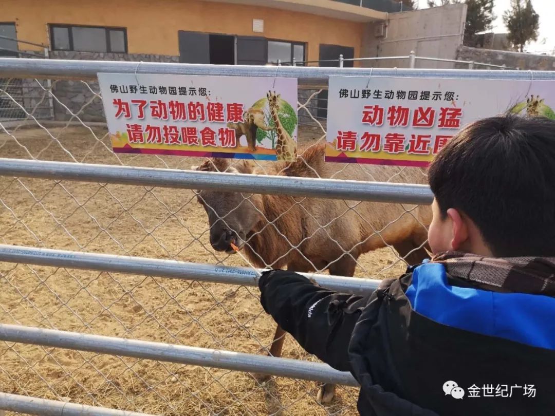 邯郸佛山野生动物园 初三开始5人以上天天发团!_临漳