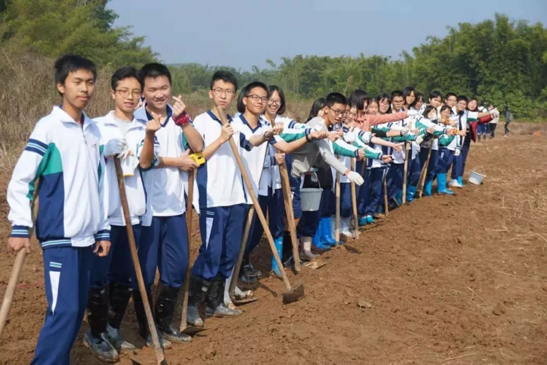 (ngpc农作课程) 佛山市第二中学"ngpc农业体验与创作课程"活动感想 7