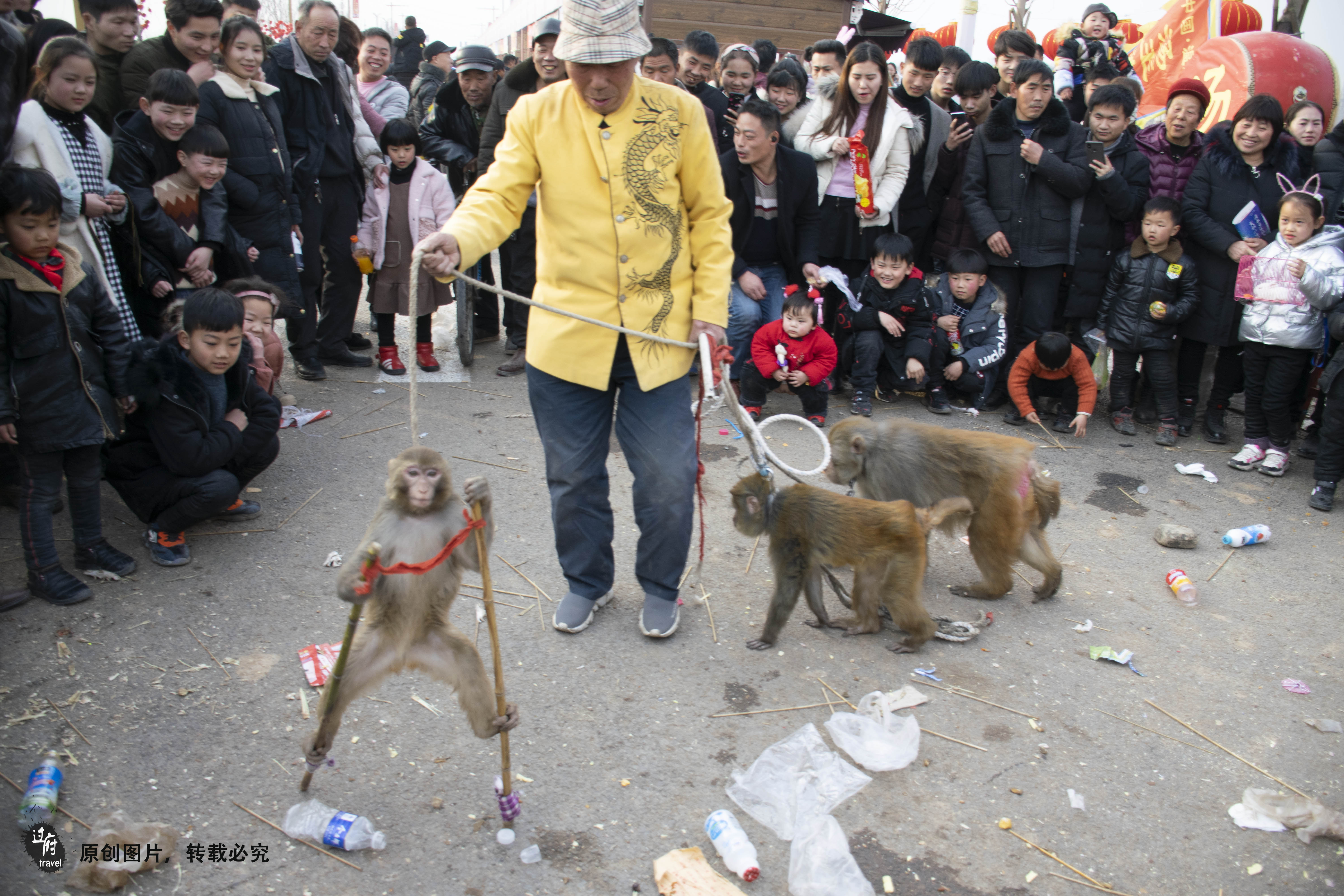 难得一见的年味:庙会上遇见耍猴手艺人,猴子挠人