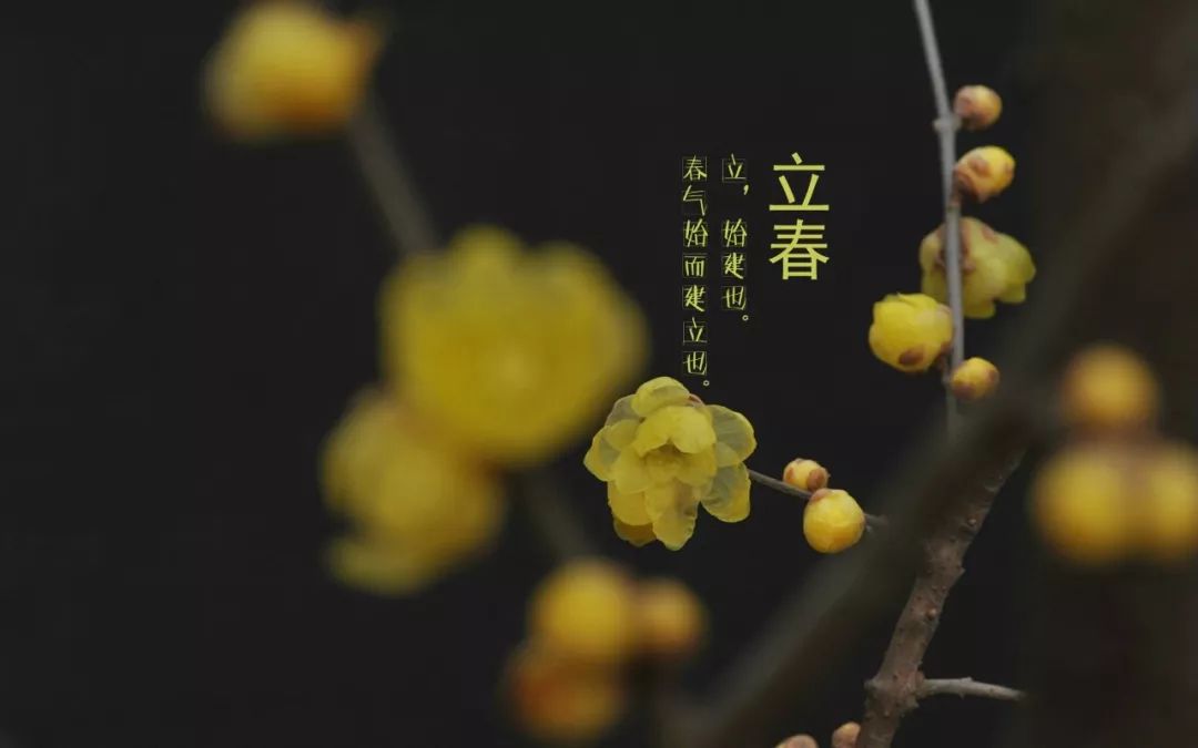 二十四节气|立春