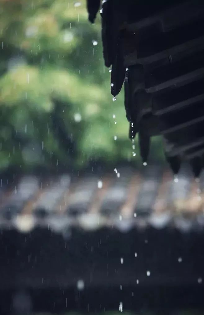 夜阑卧听风吹雨,铁马冰河入梦来.