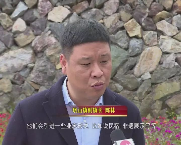 矾山镇副镇长 陈林