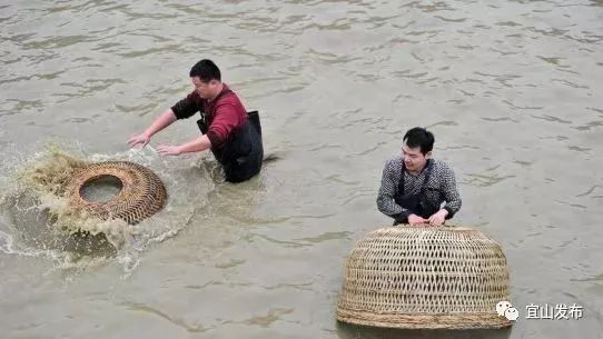 杀大猪,炸鱼…以前,宜山人这样过年!_水塘