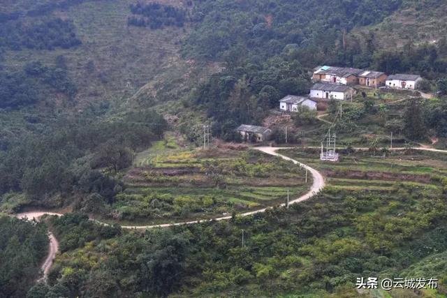 【请到云浮过大年】登辽阔壮美的大金山,体验不一样的