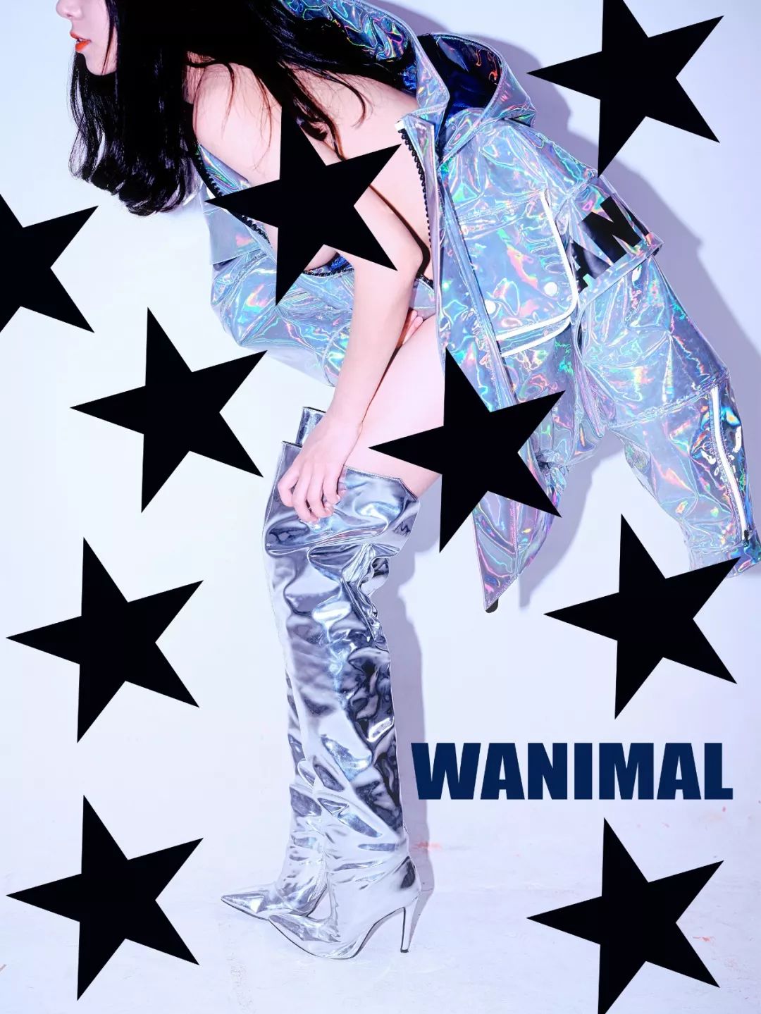 Wanimal 王动