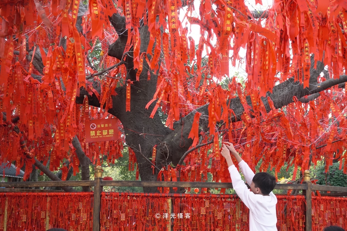 农历新年广州家庭登高祈福,就在番禺莲花山