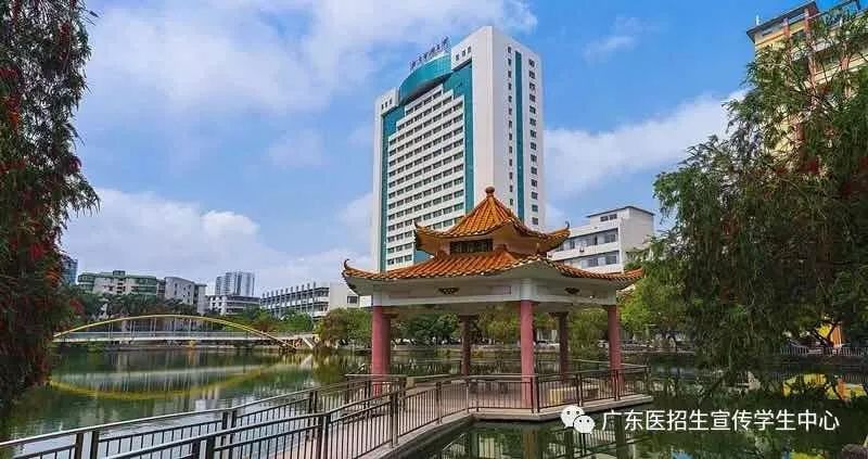 广东医科大学(guangdong medical university)在广东省湛江市和东莞