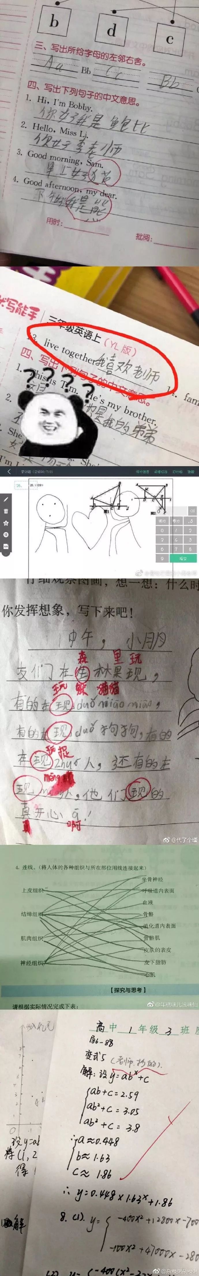 当老师能惨到什么程度?哈哈哈哈感受下沙雕作业现场