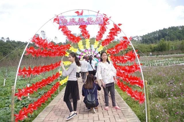 苍梧梨埠镇沙地村仙迹桃花岛来吧,我们仙迹桃花岛约吧来源:梧州旅游