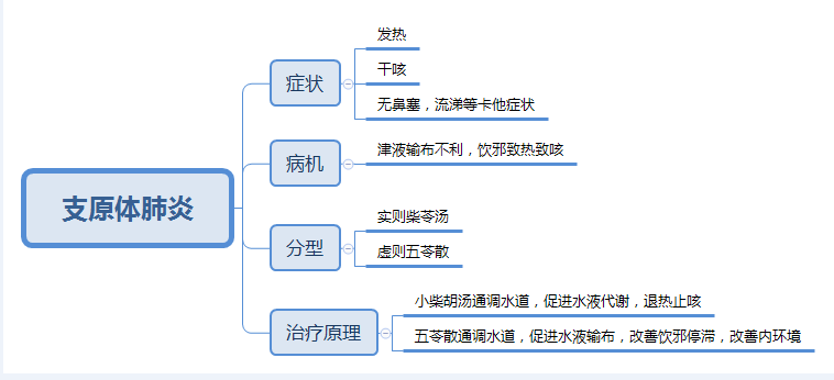 柴胡GDP_中药柴胡图片(3)