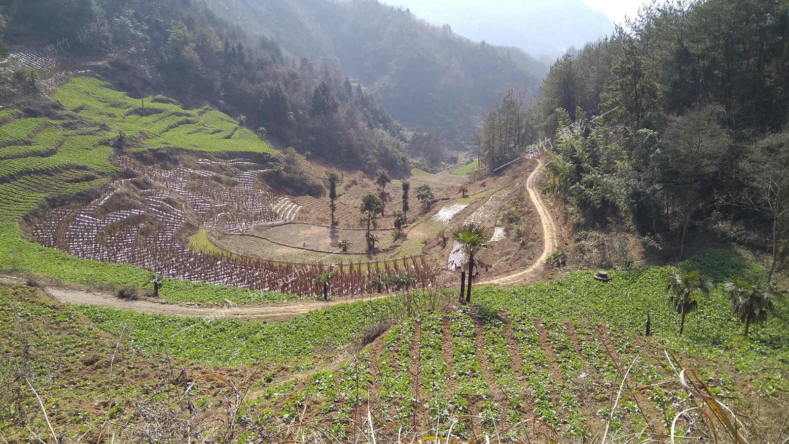 靠山村常住人口多少_常住人口登记卡(2)