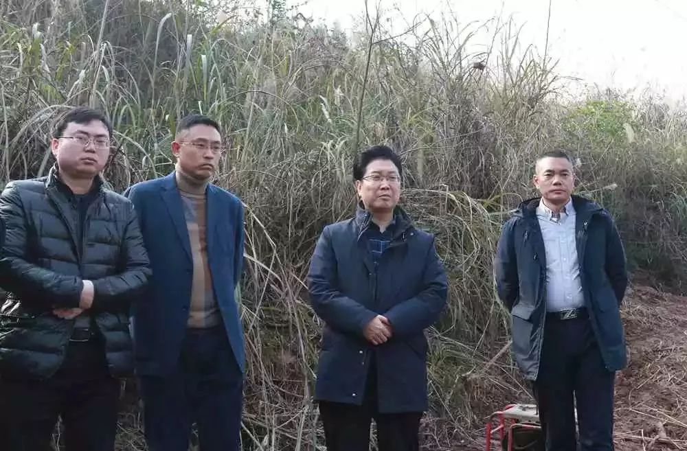 县委书记张智勇,县领导杨帆,黄海果,何骐,郭晖,王松,廖高先后