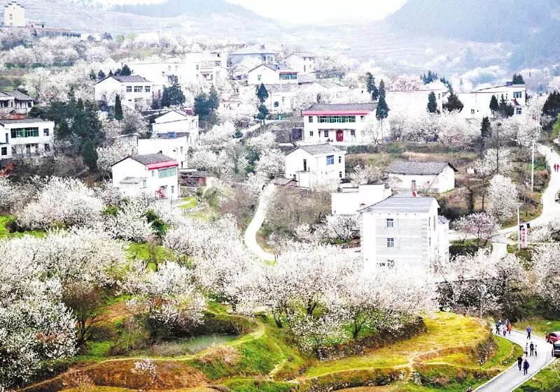 樱桃沟则是乡愁的氤氲之地