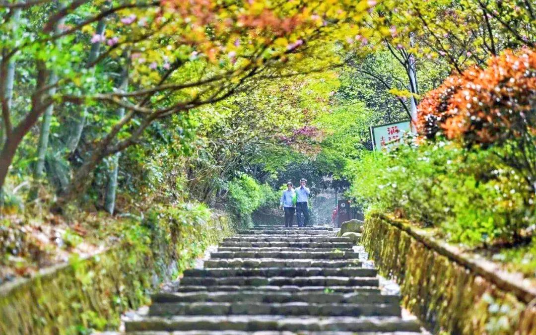 径山古道(徒步)——径山小古城村(全国文明村镇)——径山绿道(骑行)