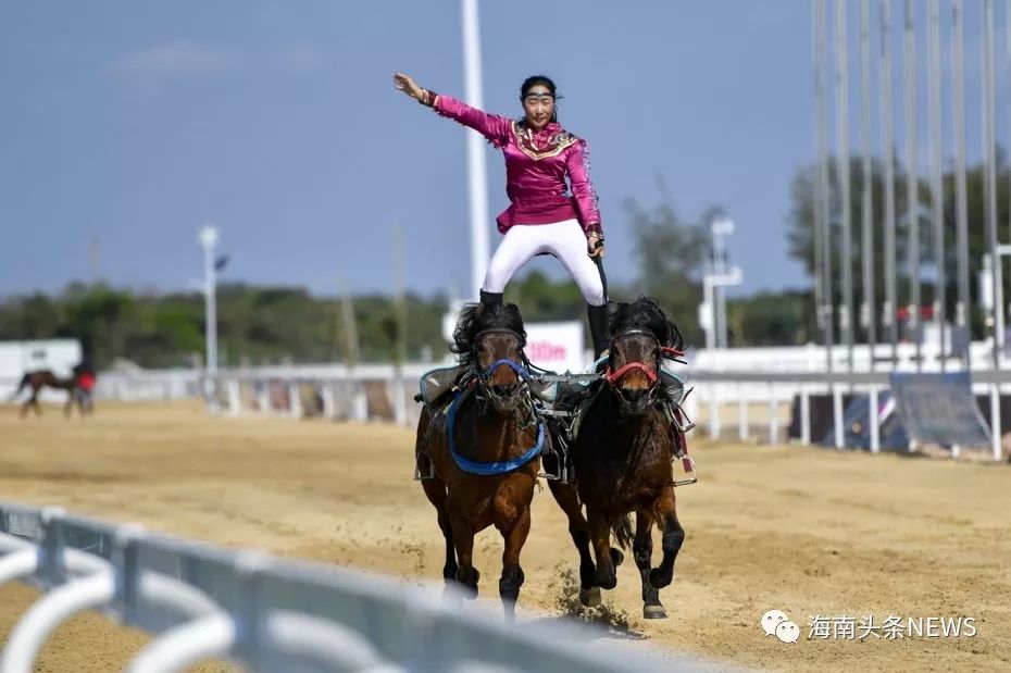 图为一位女骑手进行双马站立技巧表演.骆云飞摄