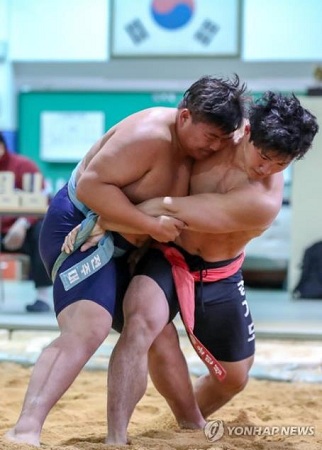 韓媒：韓朝下週討論傳統摔跤交流合作事宜 未分類 第1張
