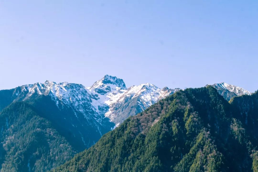 孟沟村人口_孟庄镇郑屯人口(2)