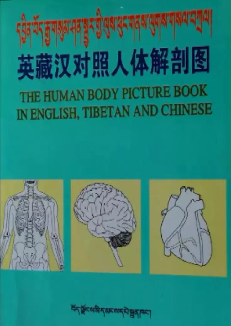 感染人口英文_预防人口密集感染(2)