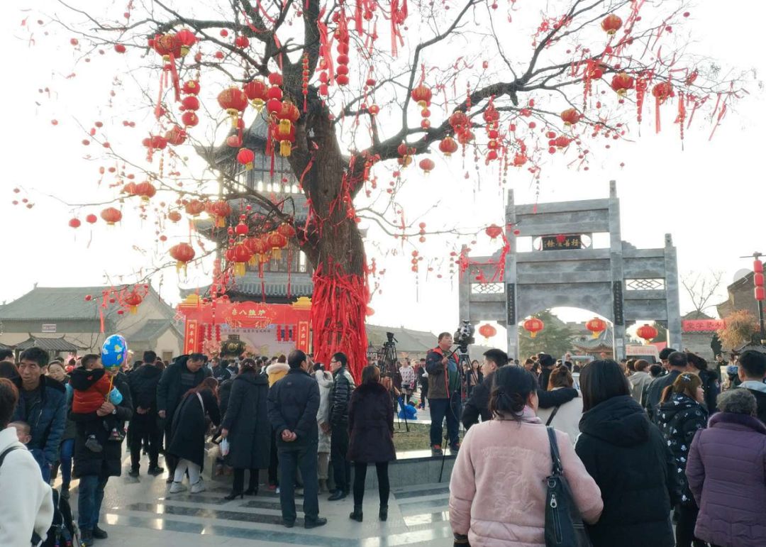 人人人春节洛阳太太太火了cctv都播了