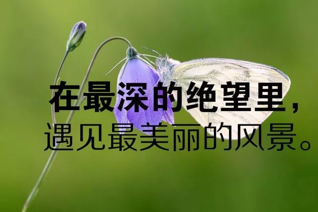 早安正能量说说短句,令人感悟的人生哲理语录