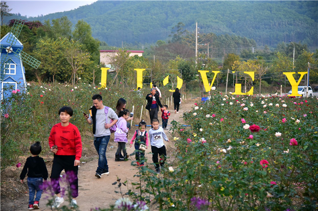 广州花都志惠农场因玻璃桥走红,每天接待上万人,好景还在后头