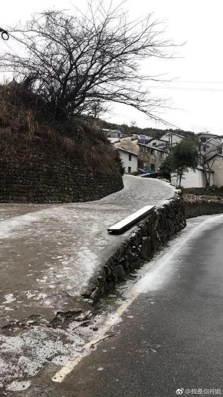 下雪啦!湖州喜提猪年第一场雪!