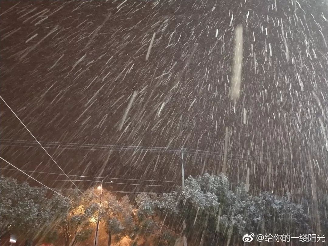 猪年第一场瑞雪下到上海啦!_雨夹雪