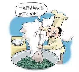 这种食物一定要煮熟不然会要命