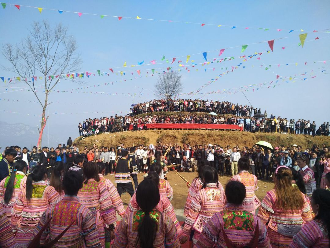 全国苗族有多少人口_姓云全国人口有多少