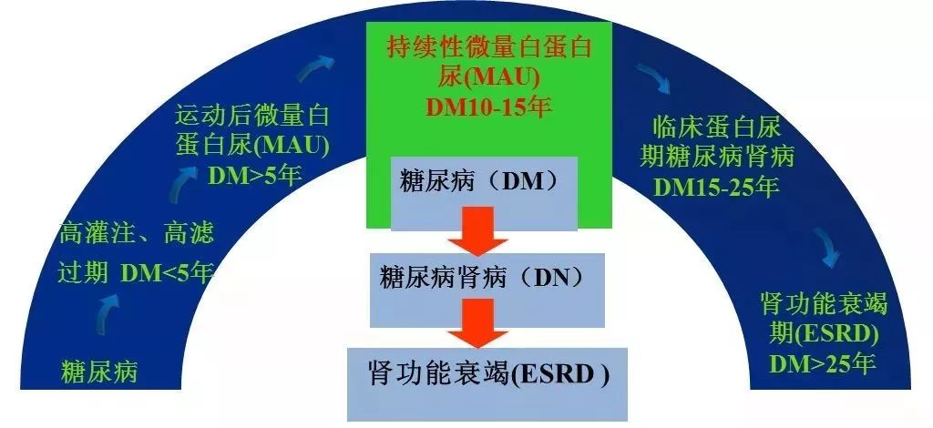 体检服务丨与其担心患糖尿病肾病需要透析治疗,不如先学会预防糖尿病