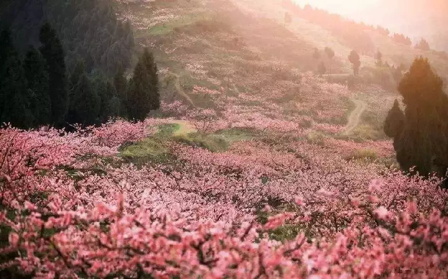 中國年味最濃的11座城市，有你的家鄉嗎？ 旅遊 第21張