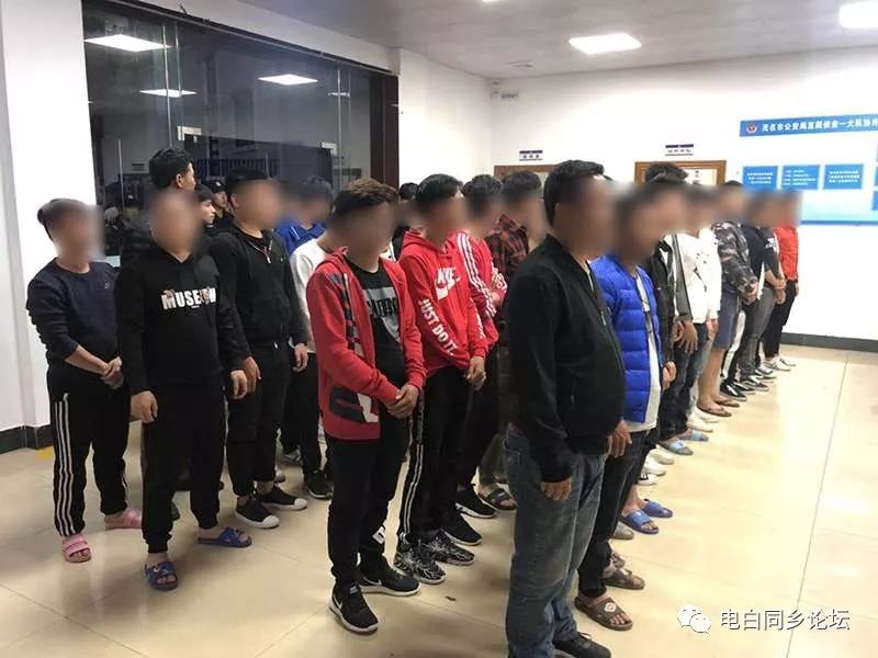 电白上百名特警奔赴树仔麻岗,8人当场被捕!