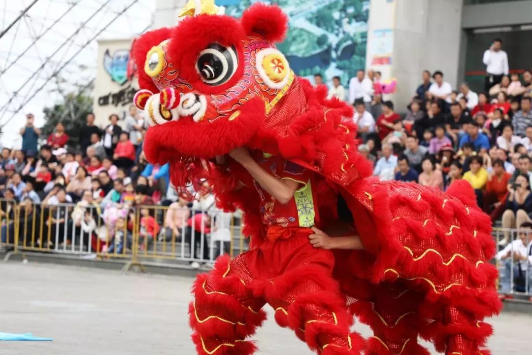 霸气舞狮～在斗门已有17年历史,每年春节初四都会举行