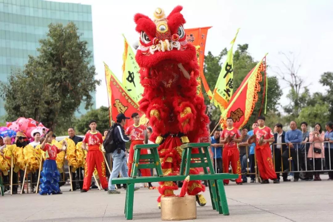 霸气舞狮～在斗门已有17年历史,每年春节初四都会举行