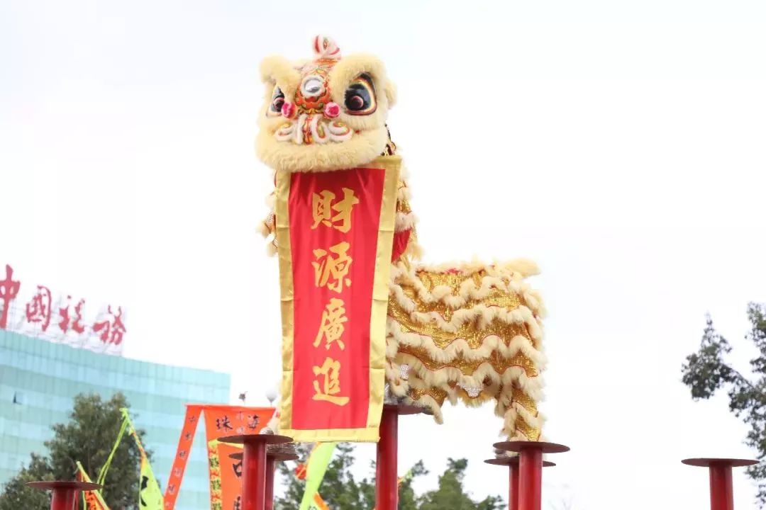 霸气舞狮～在斗门已有17年历史,每年春节初四都会举行