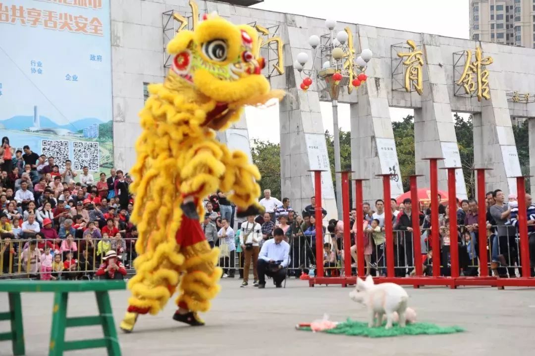 霸气舞狮～在斗门已有17年历史,每年春节初四都会举行