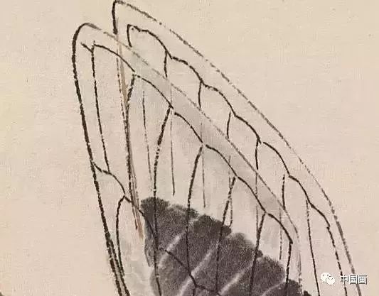 常人画得细,很容易腻和板,甚至将草虫画成僵死的标本而无生气,而齐白石所画则是在精细中求生机,严谨处富变化,如他画蜻蜓翅膀上的网纹,用笔有轻重浓淡变化,,增加了翅膀的动感;画水中草虫的长足,一笔瘦硬的线条及画出了长足的挺拔表现出关节的结构,和他写意画的笔法相
