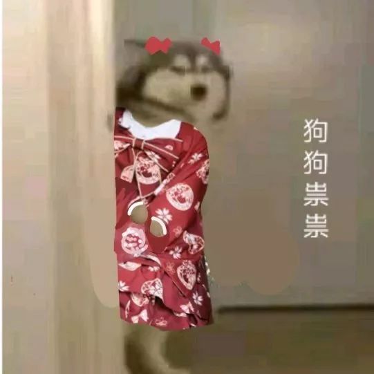 狗狗祟祟